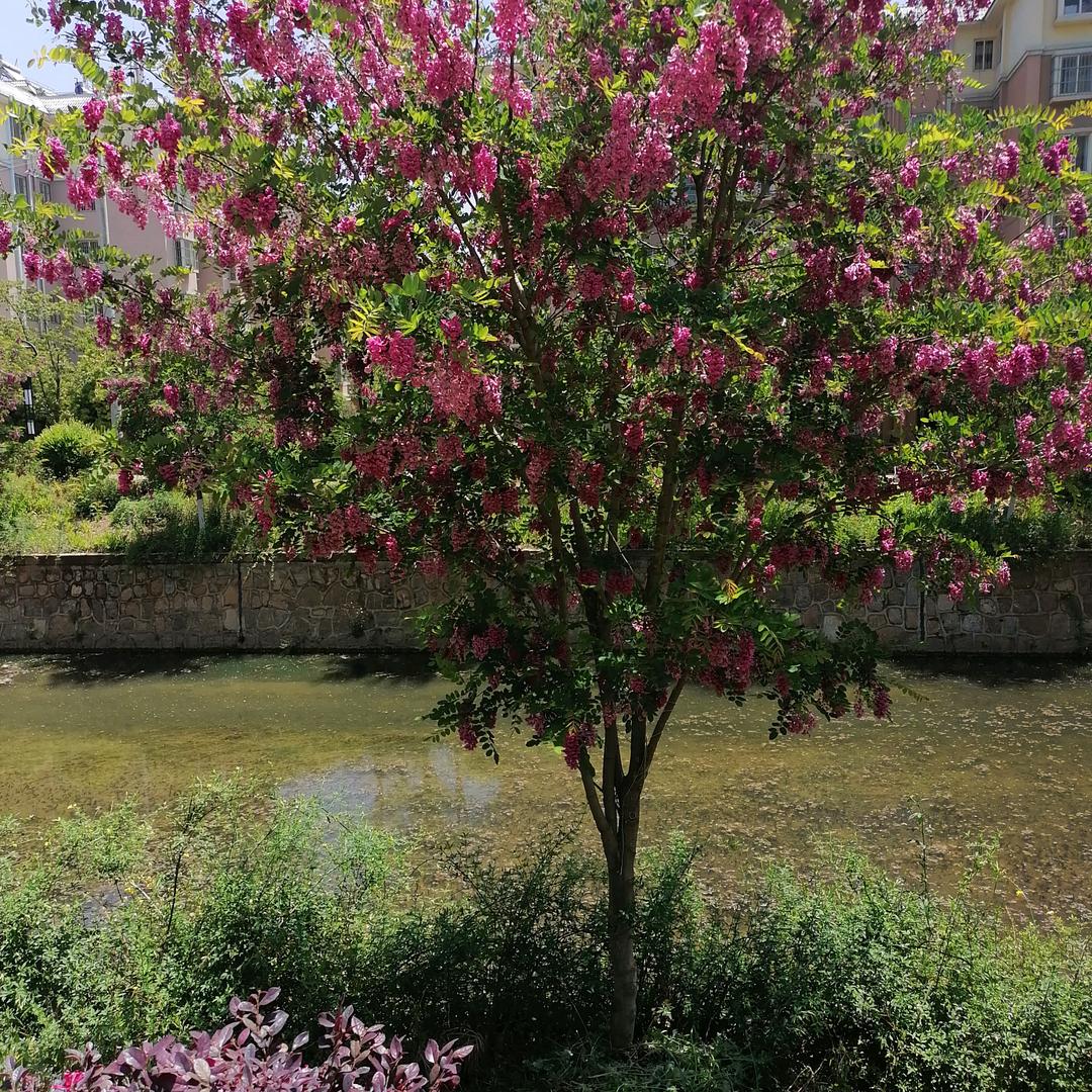 我找回我的梦想