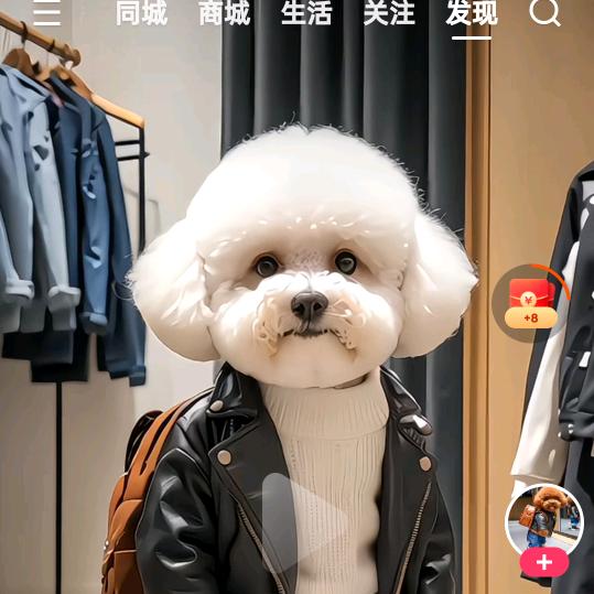 从此世间不在来