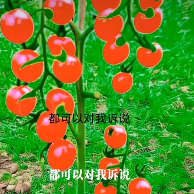 万爱千恩