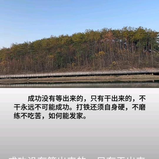 德