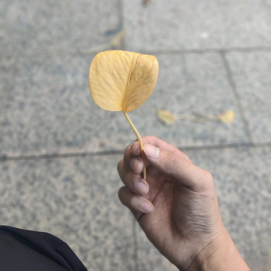 守护