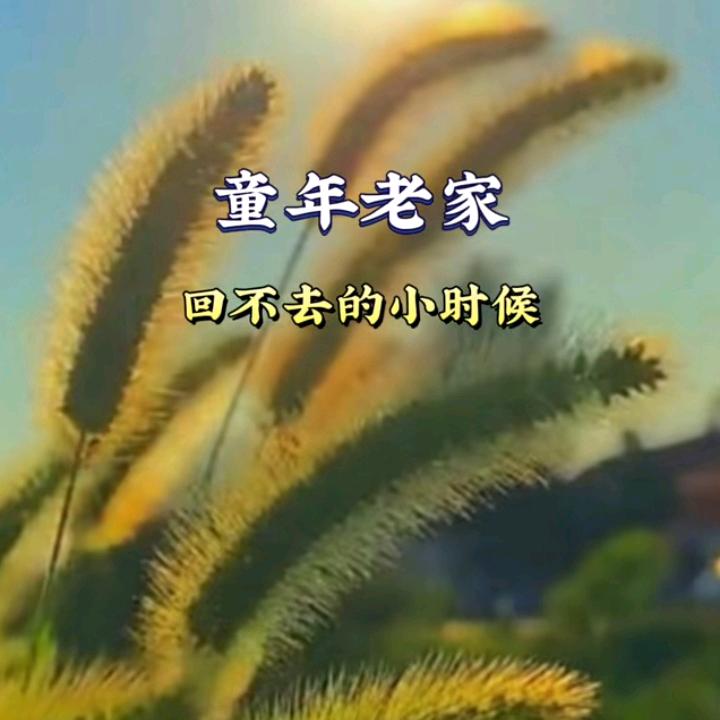 (≧∇≦)/爱吃鱼