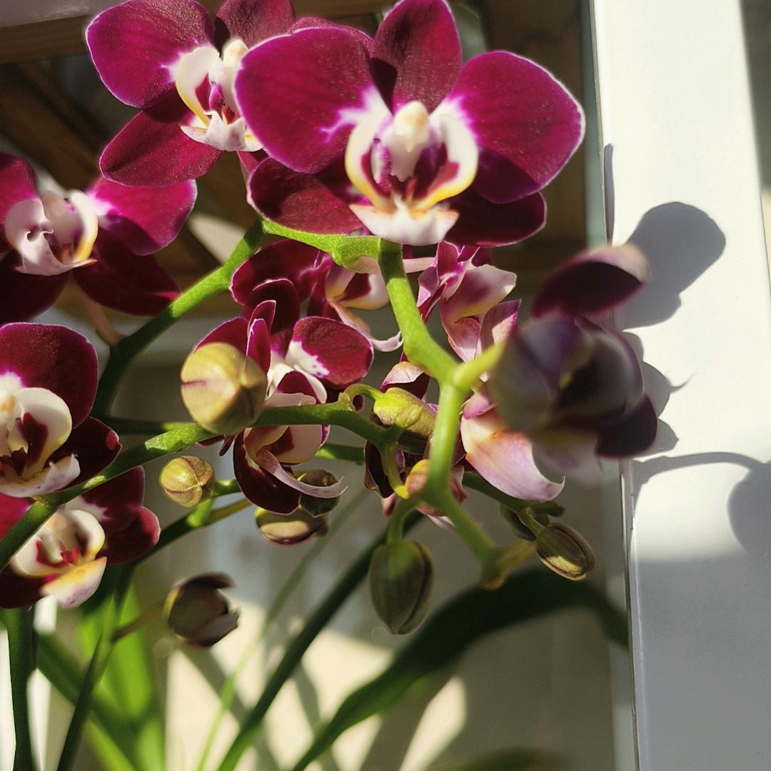 晨  🌞