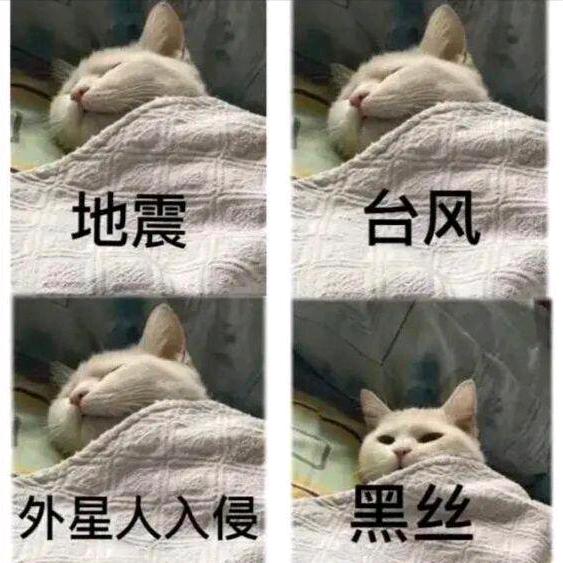 果栋
