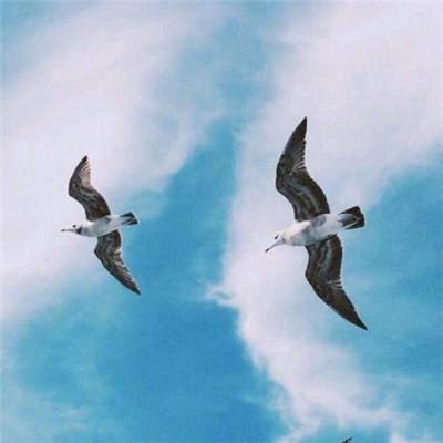 流年