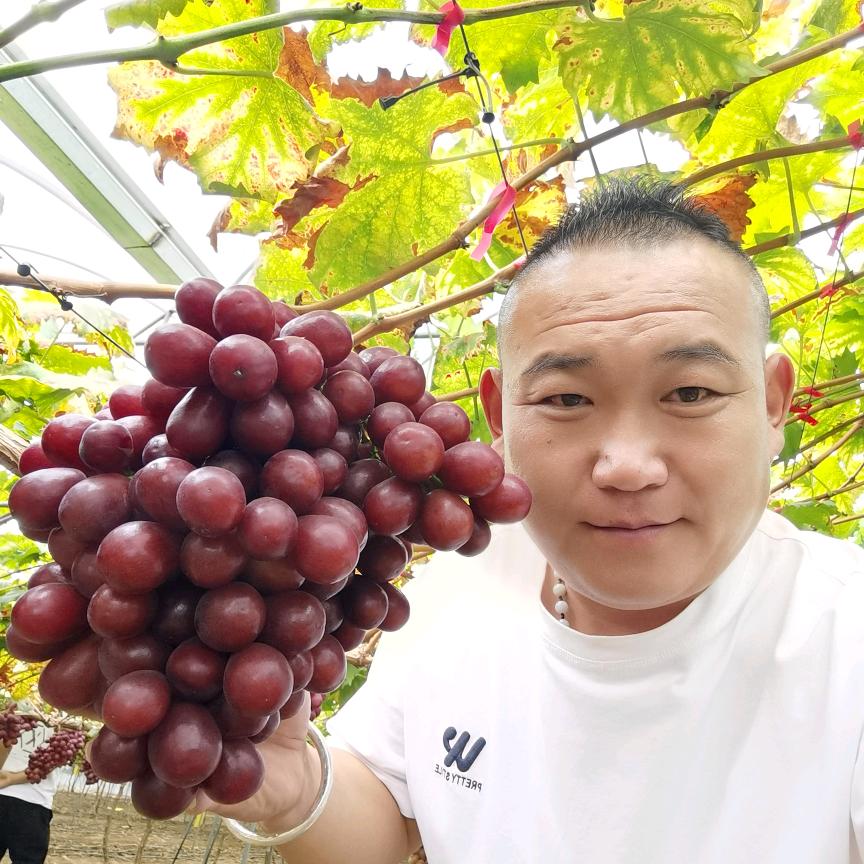 家有四千金,,