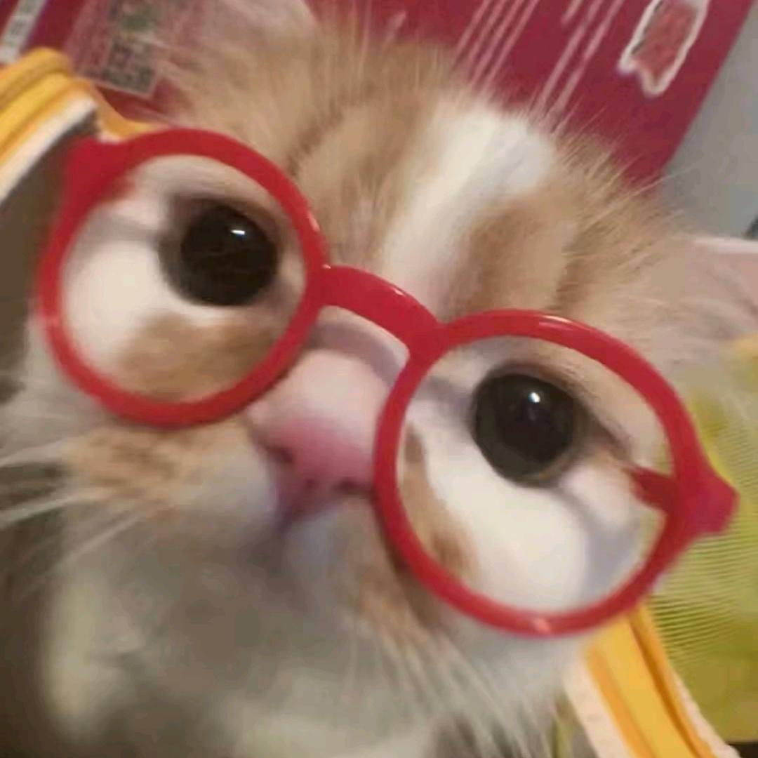 蔡蔡爱钓鱼