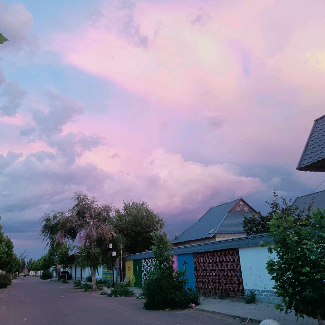 小马（海小号）