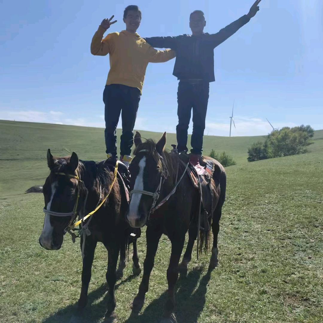 金杭🐴