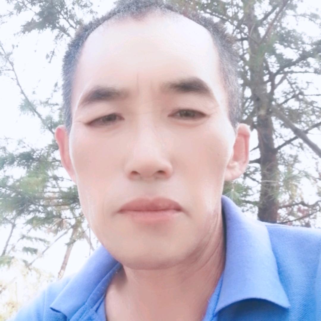 寒雨纷飞