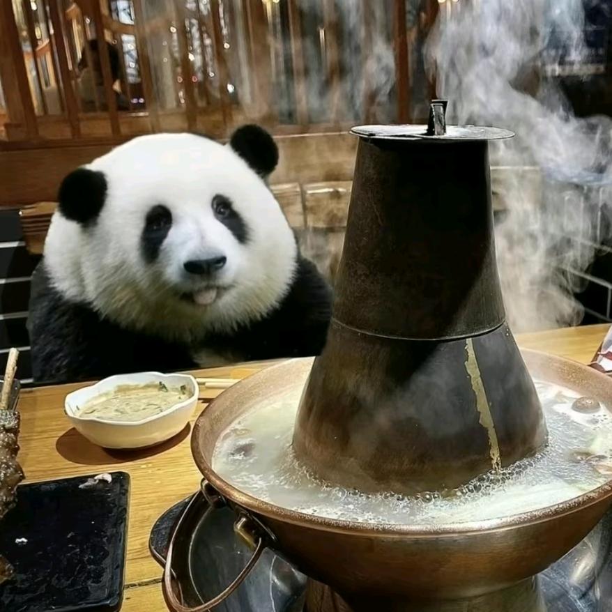 扛着八戒跳街舞🍗