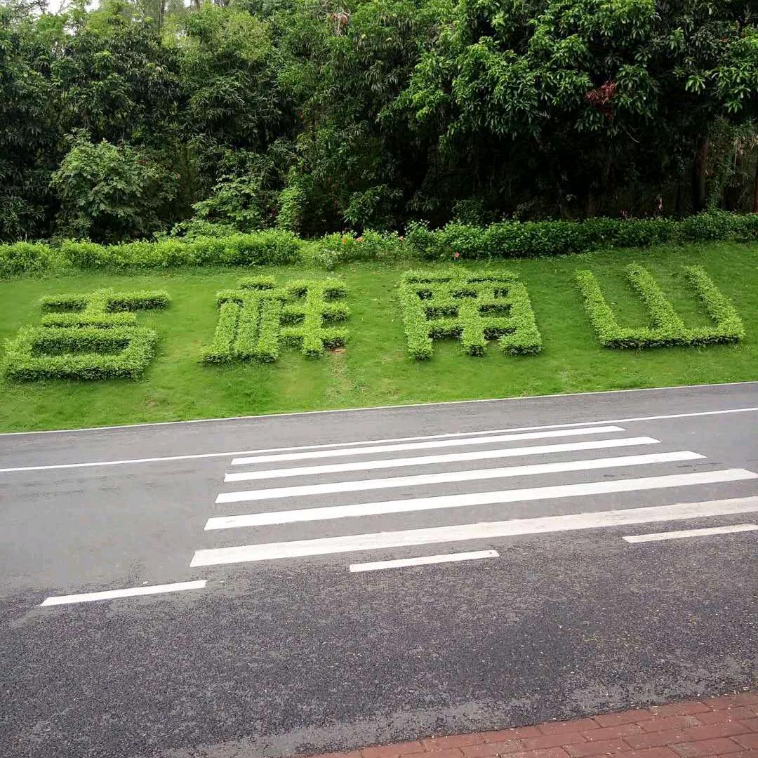 像梦一样自由