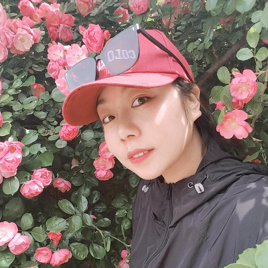 白菜