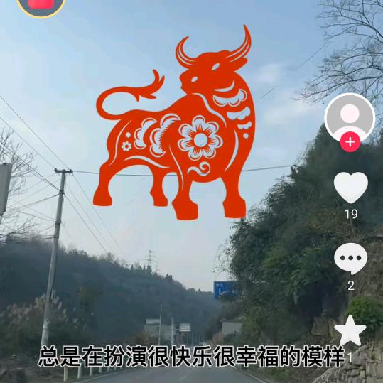 留不住的青春