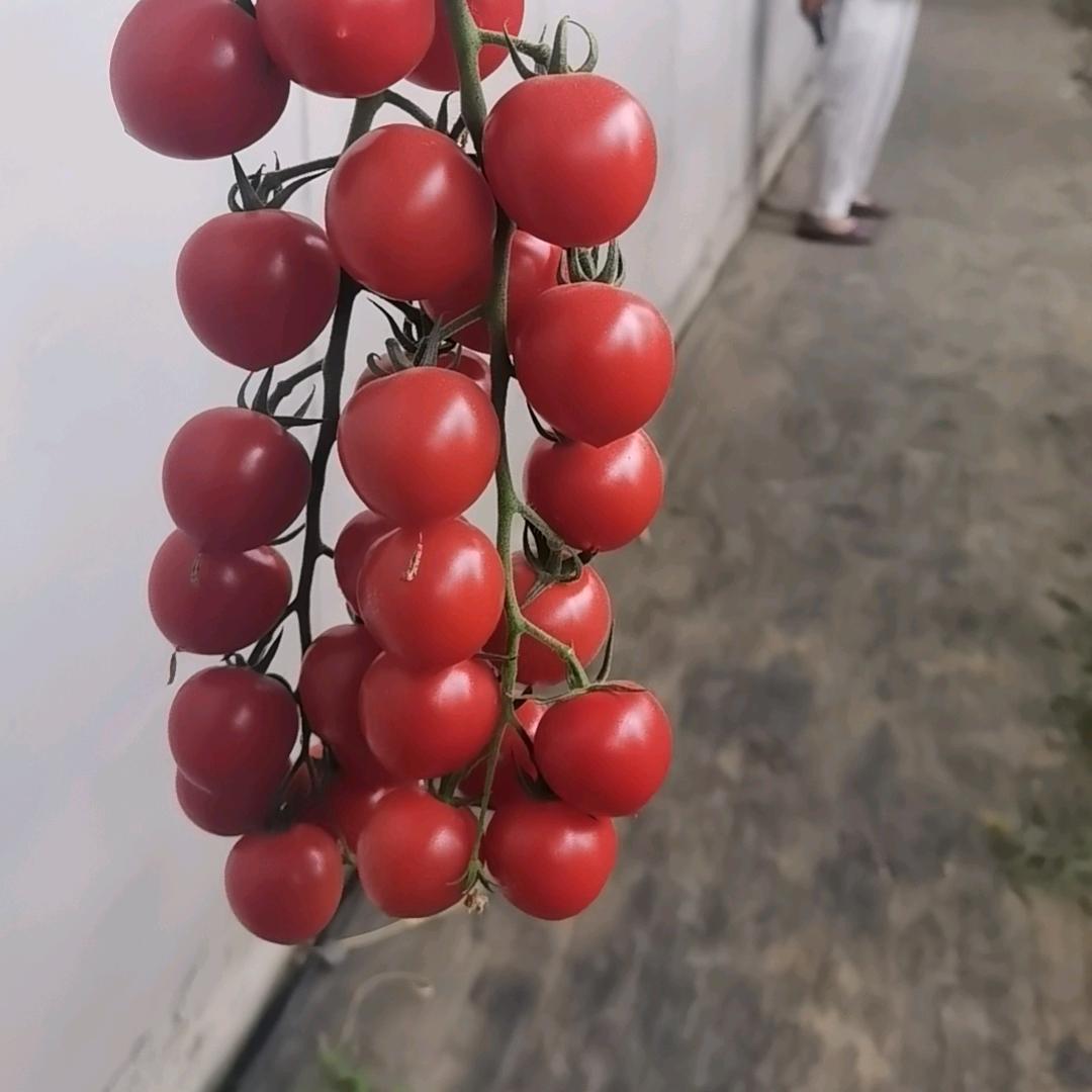 吉祥如意