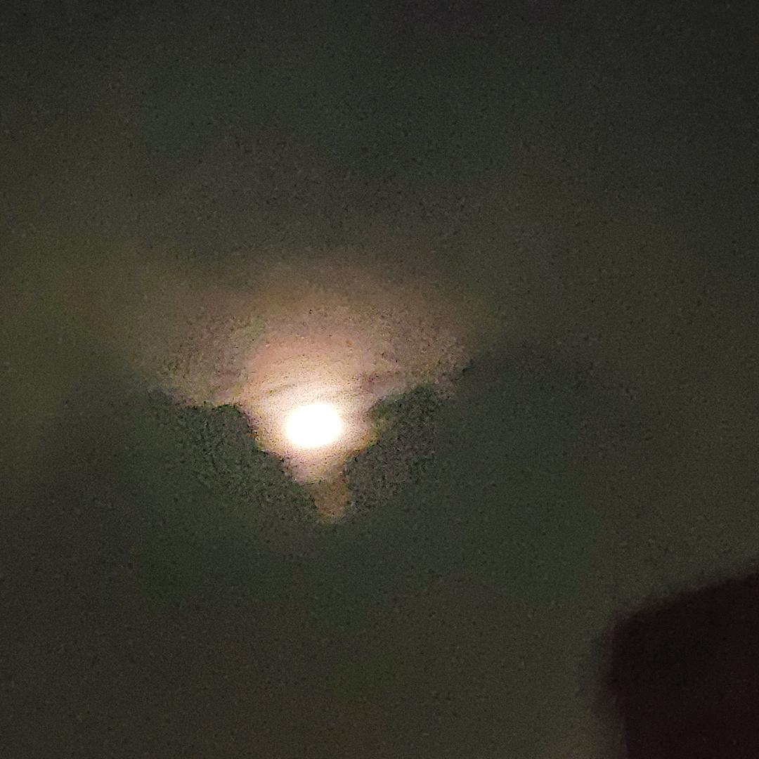 数果累累的硕