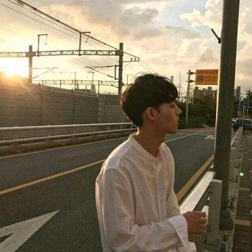 炎枫l