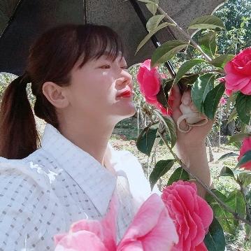 彩云姐姐