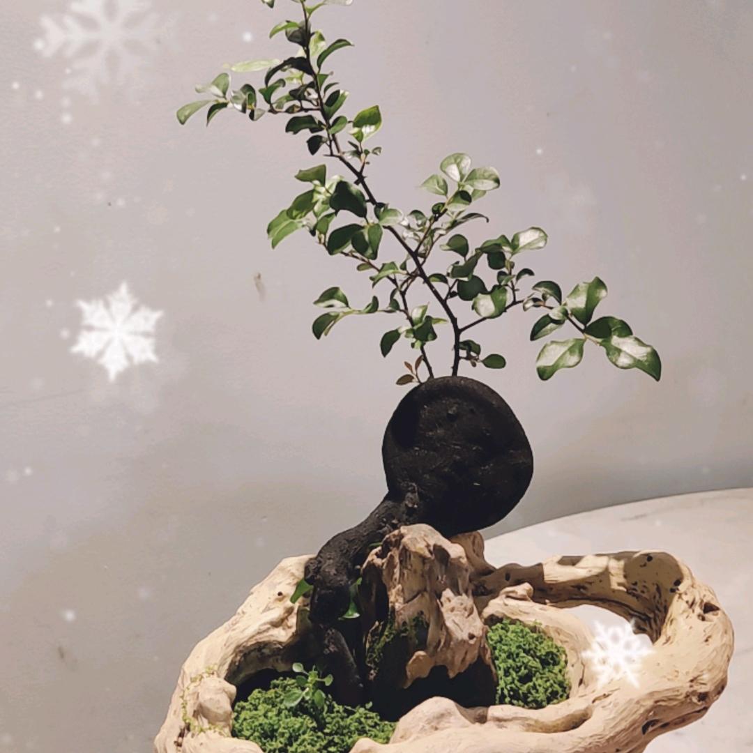 面粉打成面包