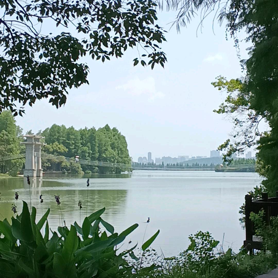 溪大小姐