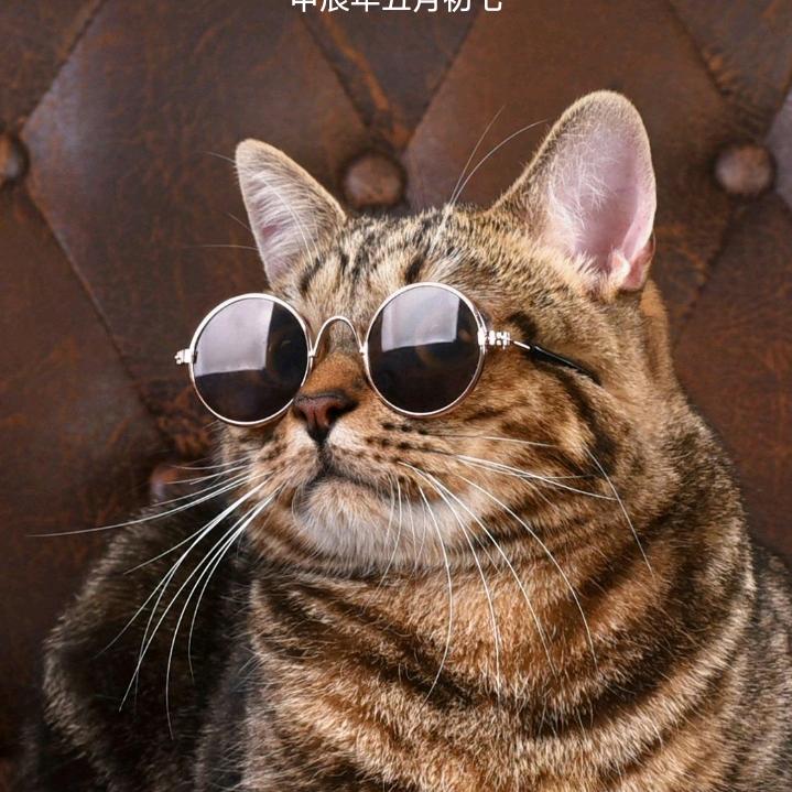 孤独自由
