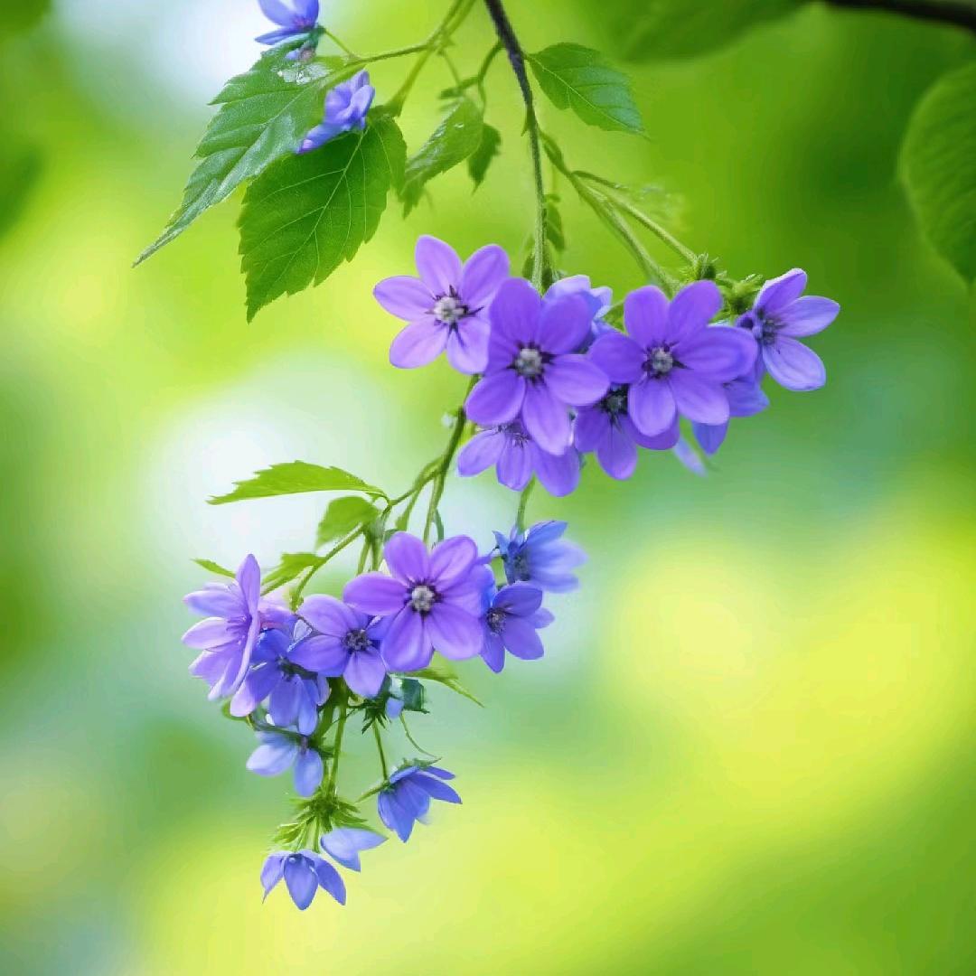 💞往后余生💞