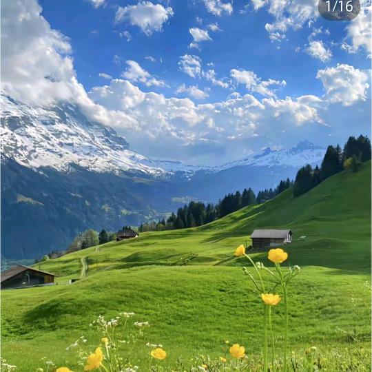 珰瑜电子 团购号