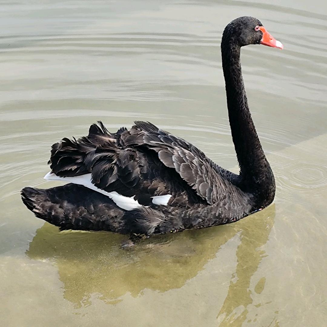 ໑ຼ₀₂₃💕孙理成张🦹¹ᶟ₁₄