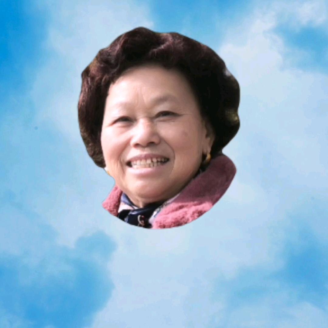 春华梦焕