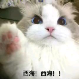小钰