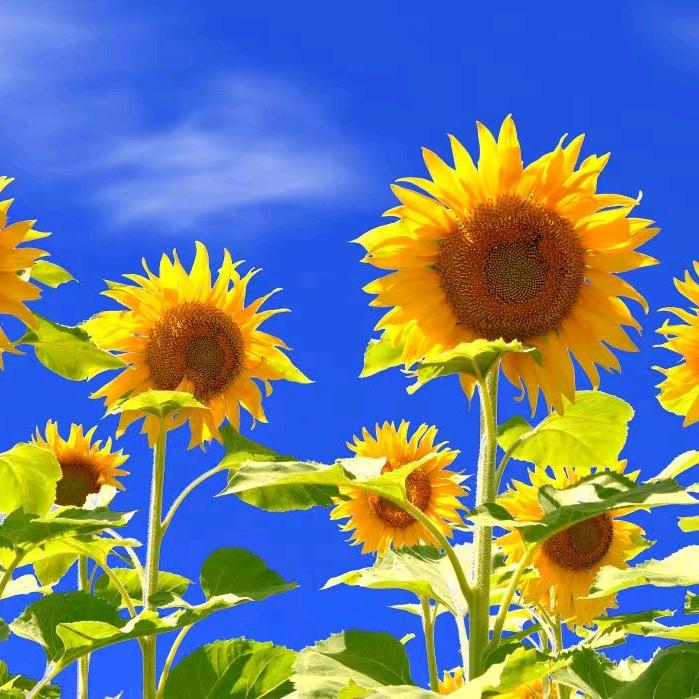 明天比今天过得更好