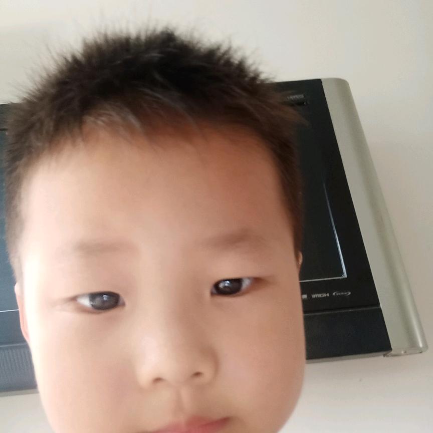 贾巨海