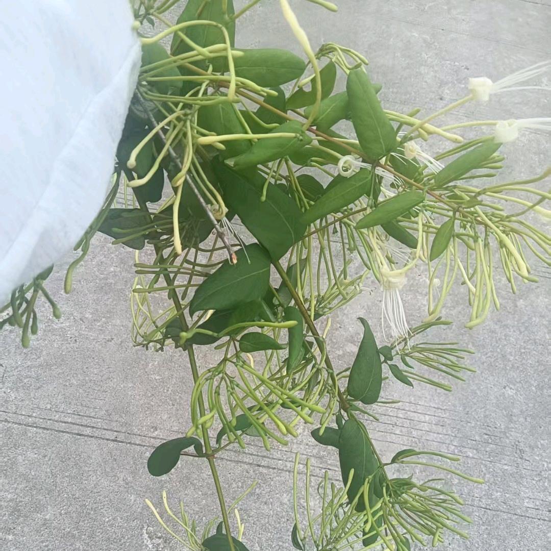 放过自己