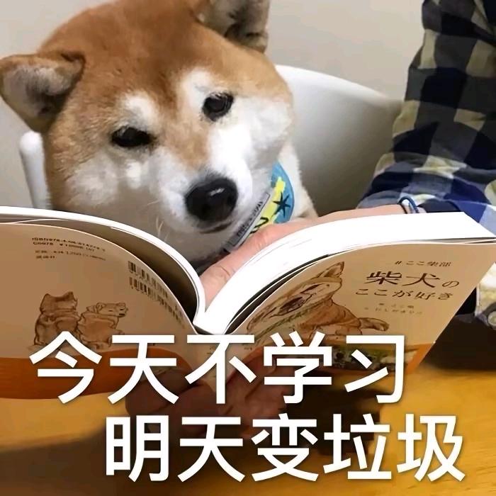 搞笑神评