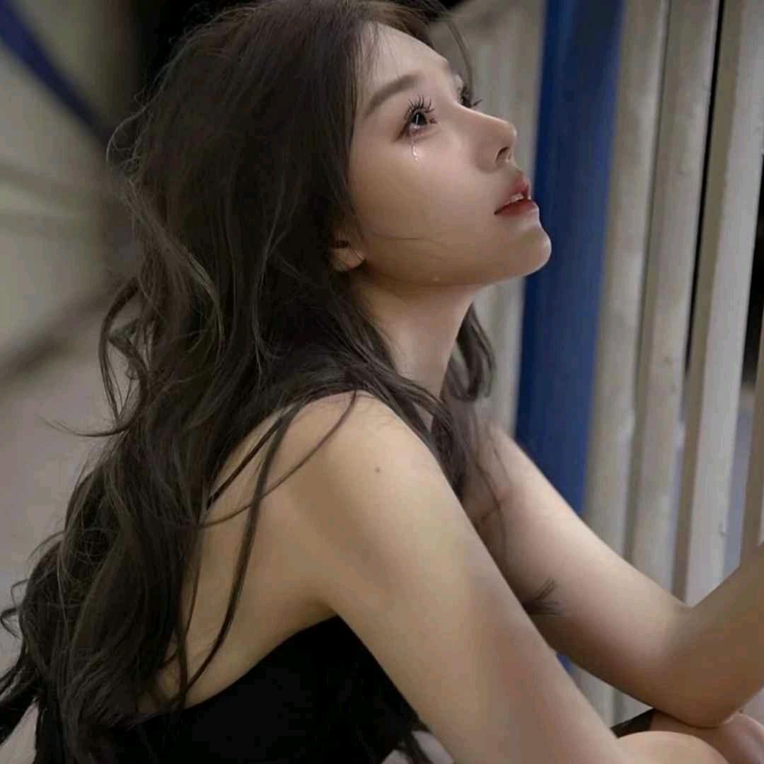 梦蝶