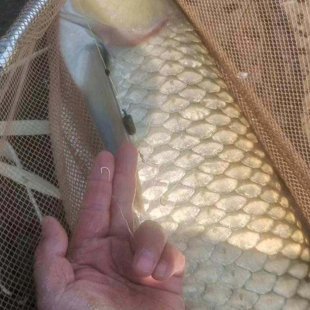 戴你去钓鱼