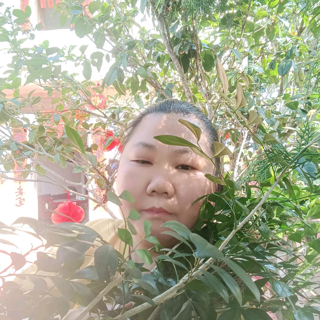 遗忘清清头像