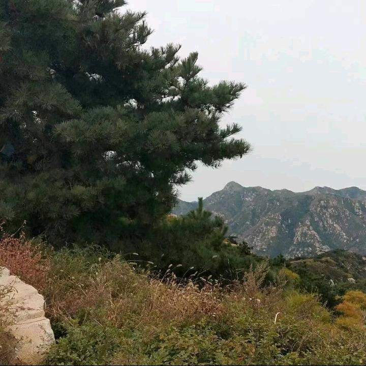 ∞军哥