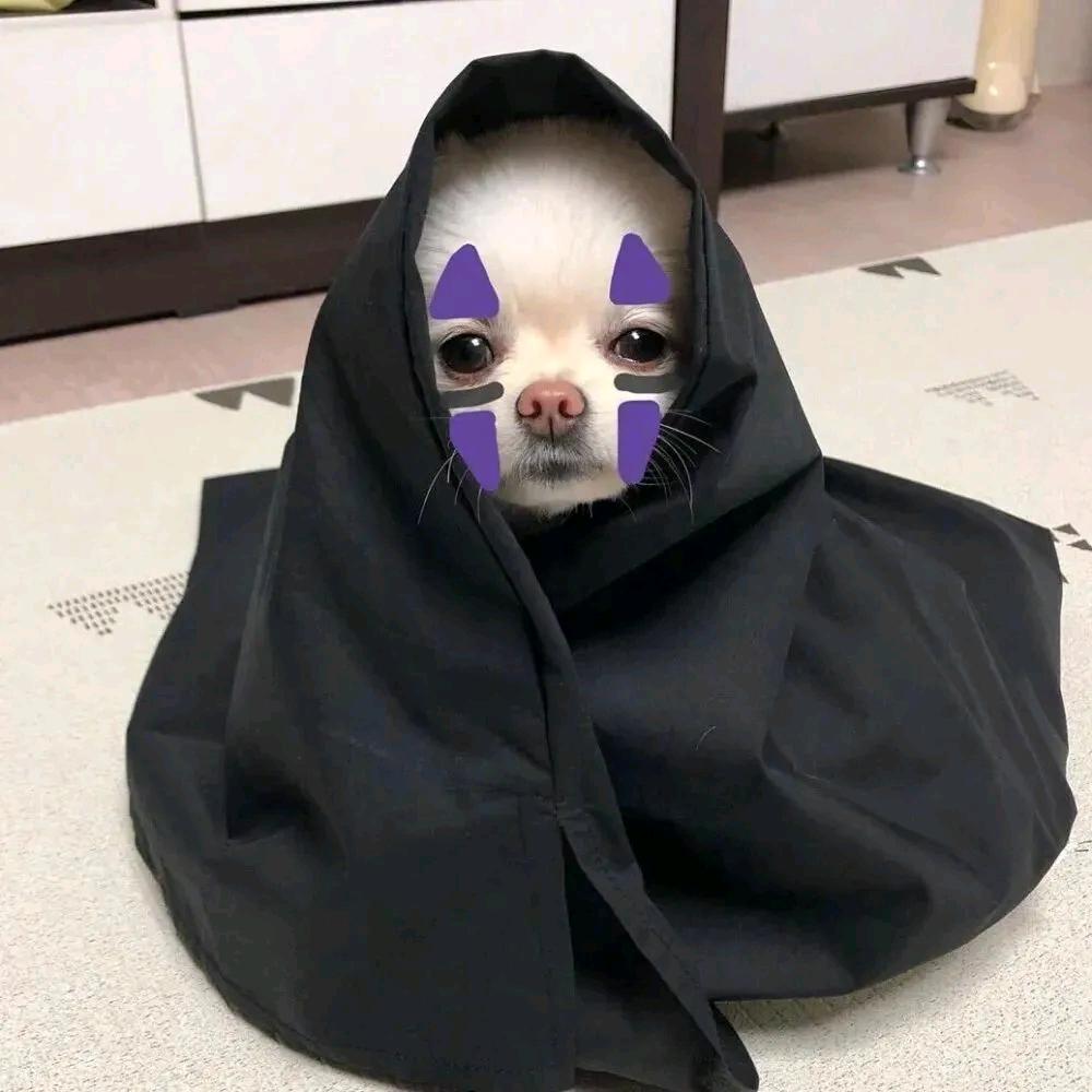 粥粥大王爱玩