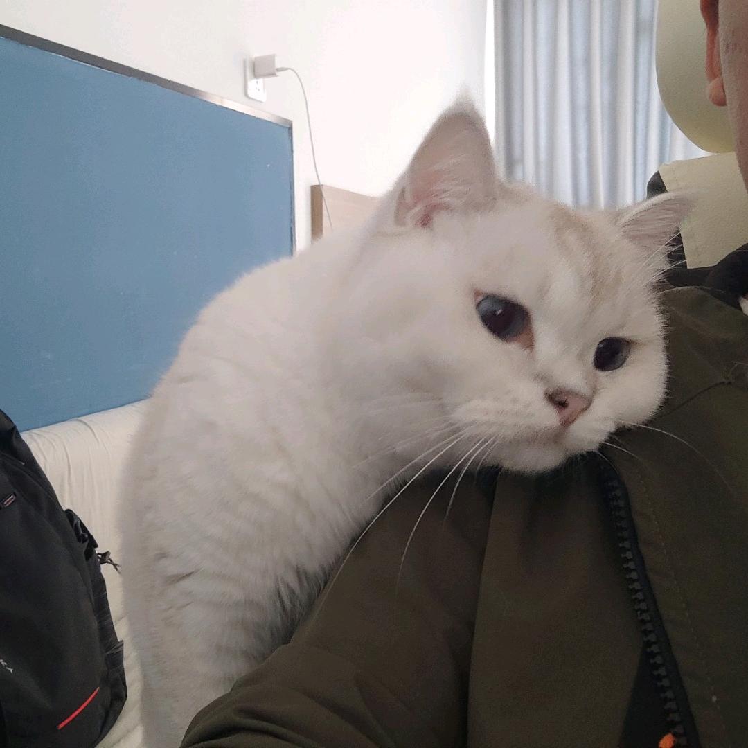陪你度过漫长岁月