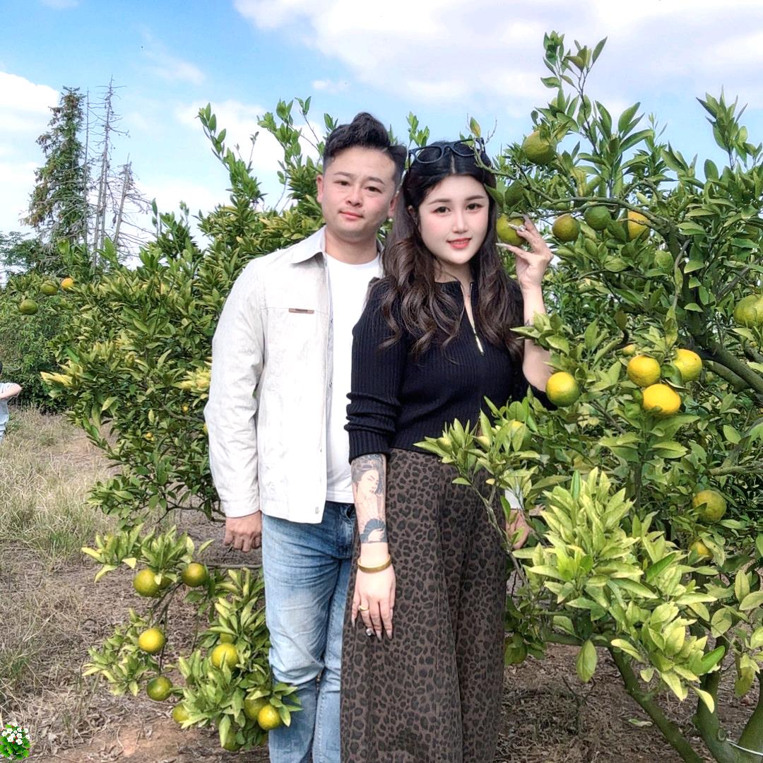灰埠谌大大