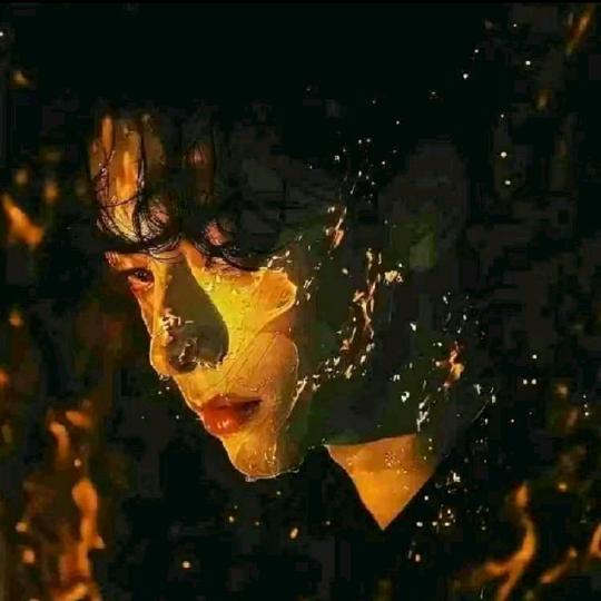 杨兮