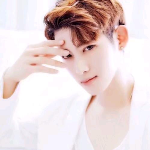 木水年华<>北半球的天空