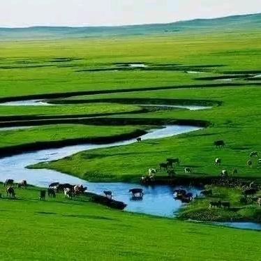 巴尔虎草原