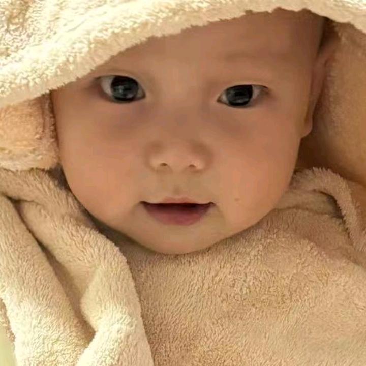邹生龙