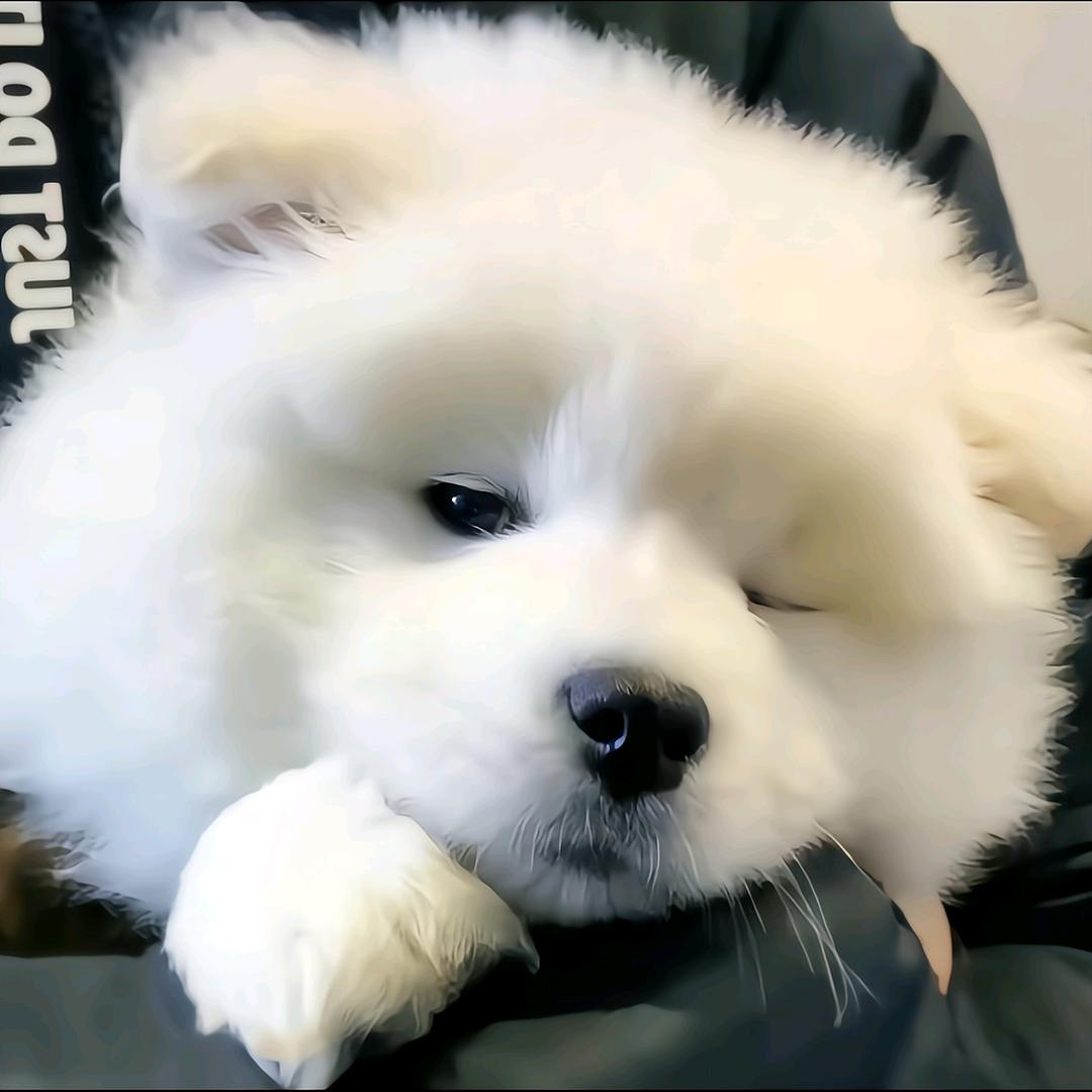 ɪyy