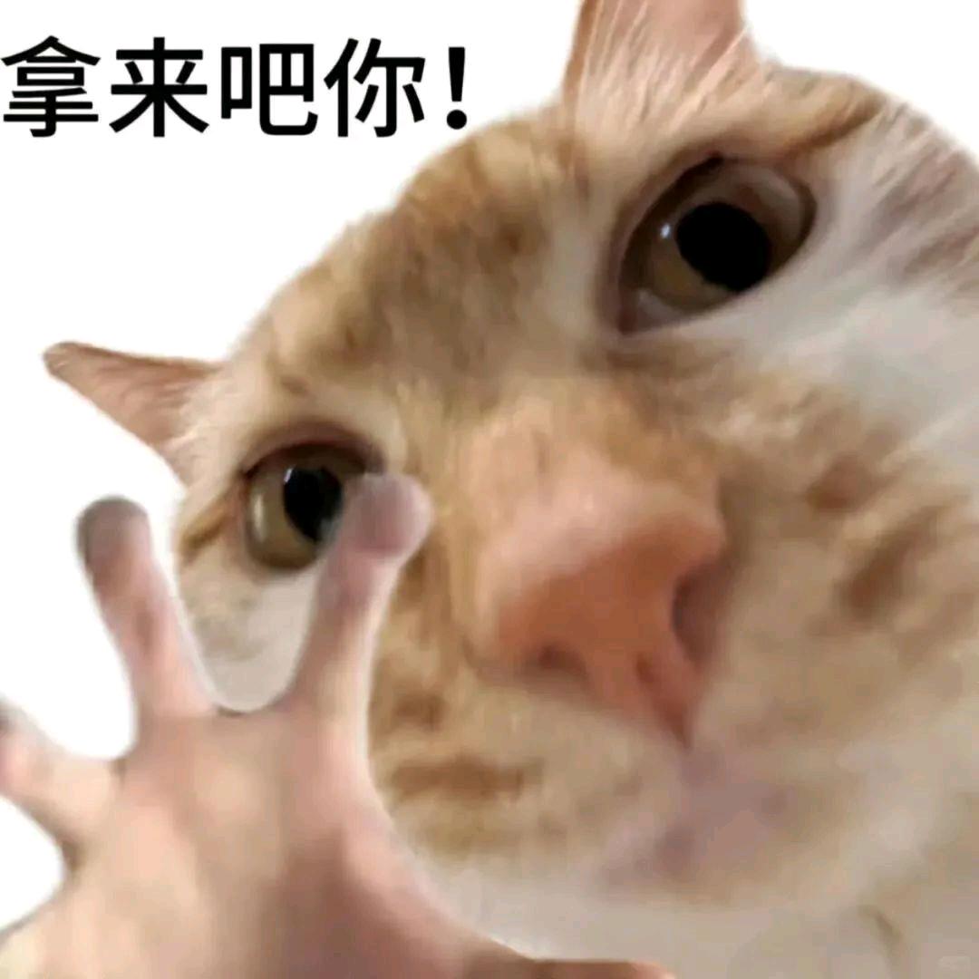 南北绿豆