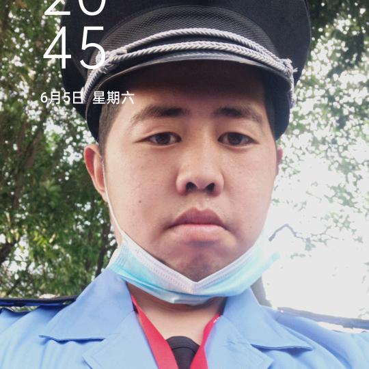 龍飛天地動