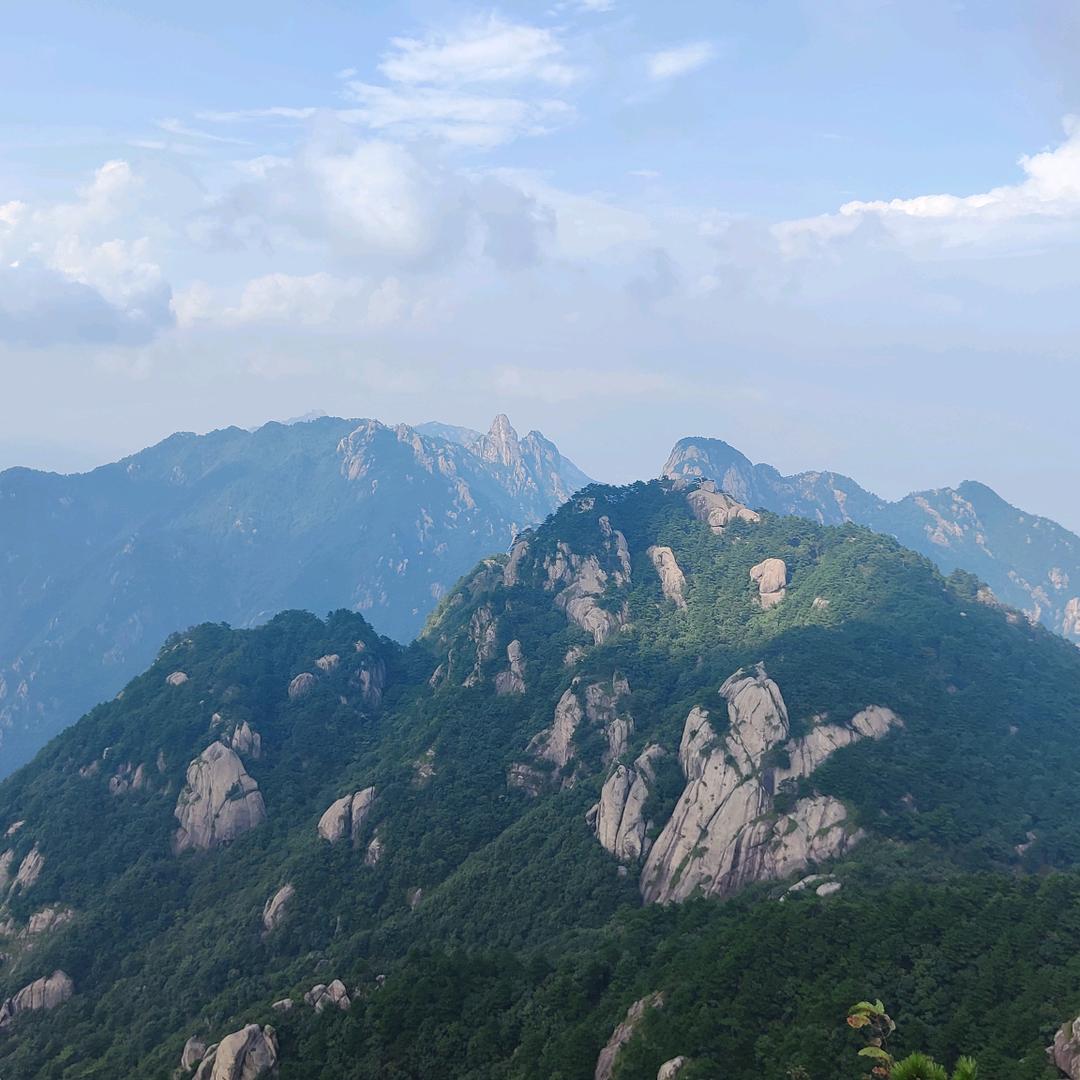 离离原上草