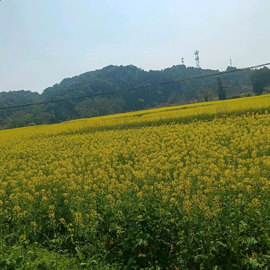 晴空万里